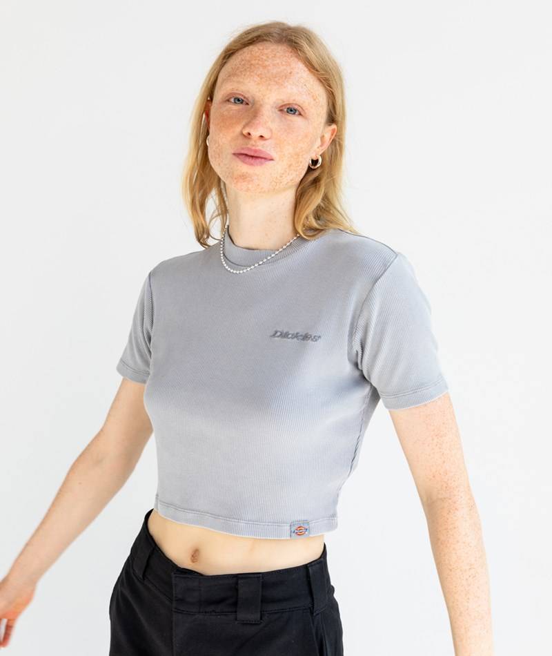 Kauf Dich Glücklich DICKIES Plentywood SS T-Shirt grau