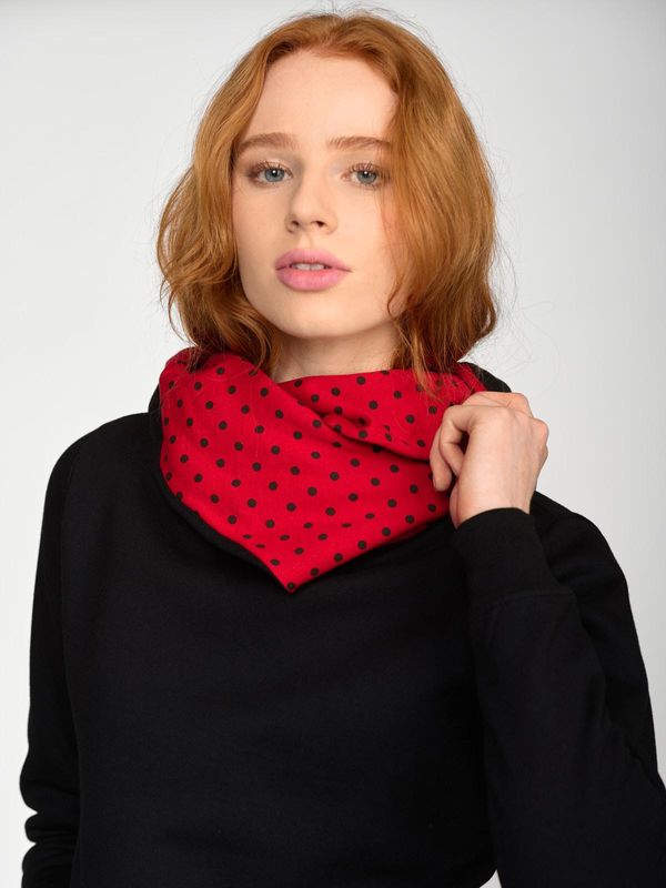 Nastrovje Potsdam Pussy Deluxe Black Dotties On Red Hoodie Damen Schalkragenpullover schwarz/allover Angebote