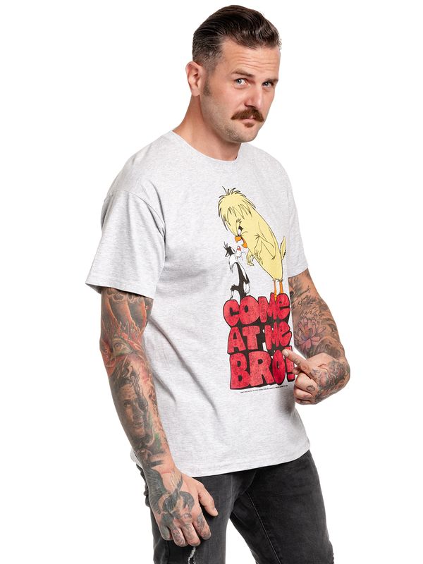 Nastrovje Potsdam Looney Tunes Come At Me Bro Herren T-Shirt grau meliert im Angebot