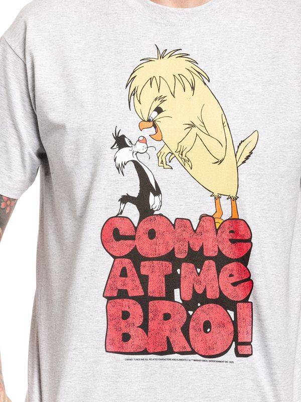 Nastrovje Potsdam Looney Tunes Come At Me Bro Herren T-Shirt grau meliert im Angebot