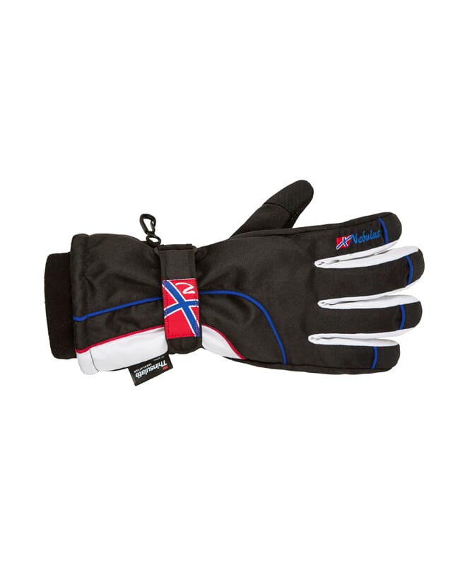 Nebulus Skihandschuhe SPIKE Herren Bestseller